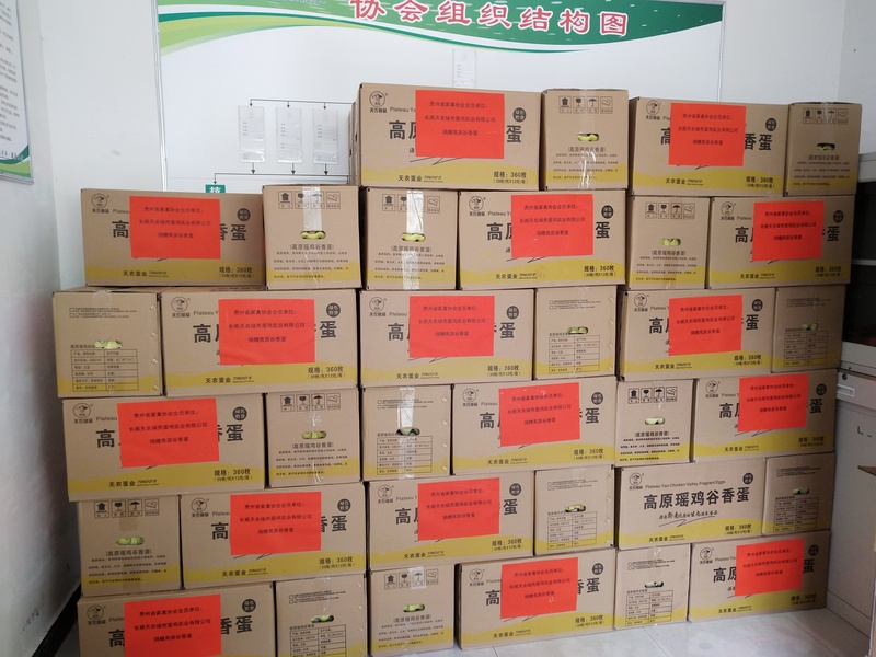 20200223-长顺天农公司通过贵州省家禽协会捐赠应急物资一批 (2).jpg